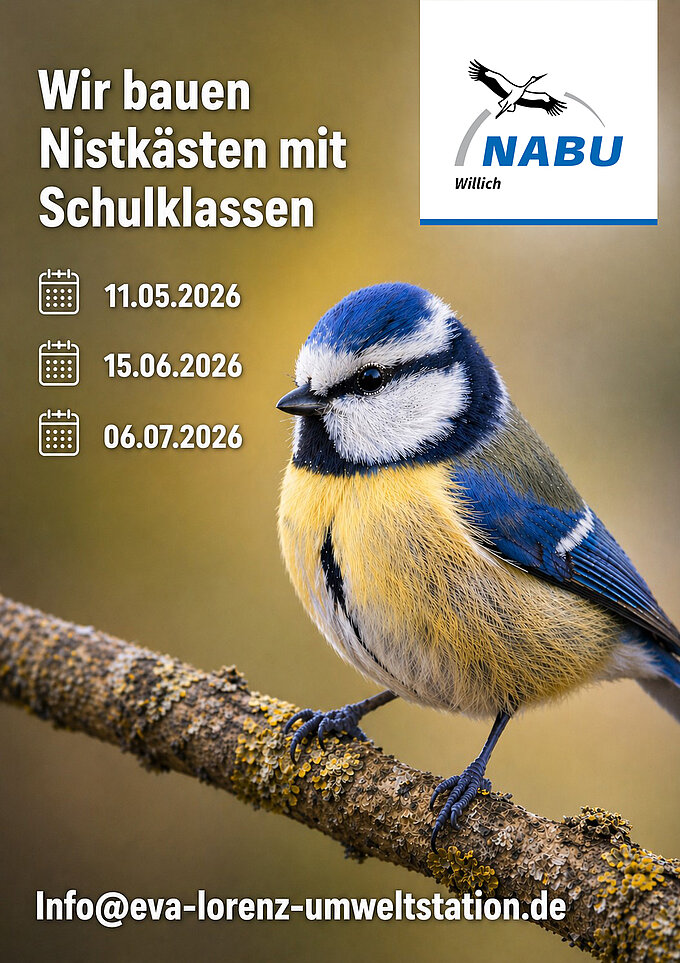 Foto: NABU Willich